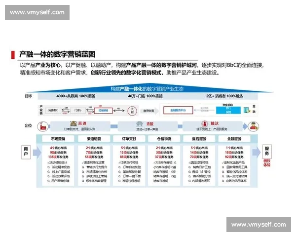 体育行业网络推广与数字化营销转型创新实践品牌升级发展路径研究