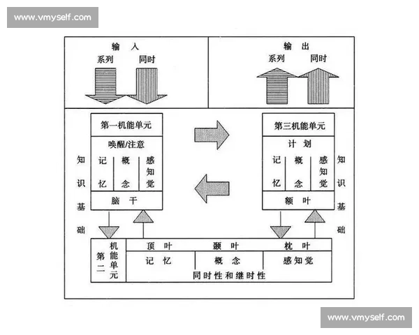 基于视觉训练提升认知能力与专注力的系统化方法探索与实践路径研究